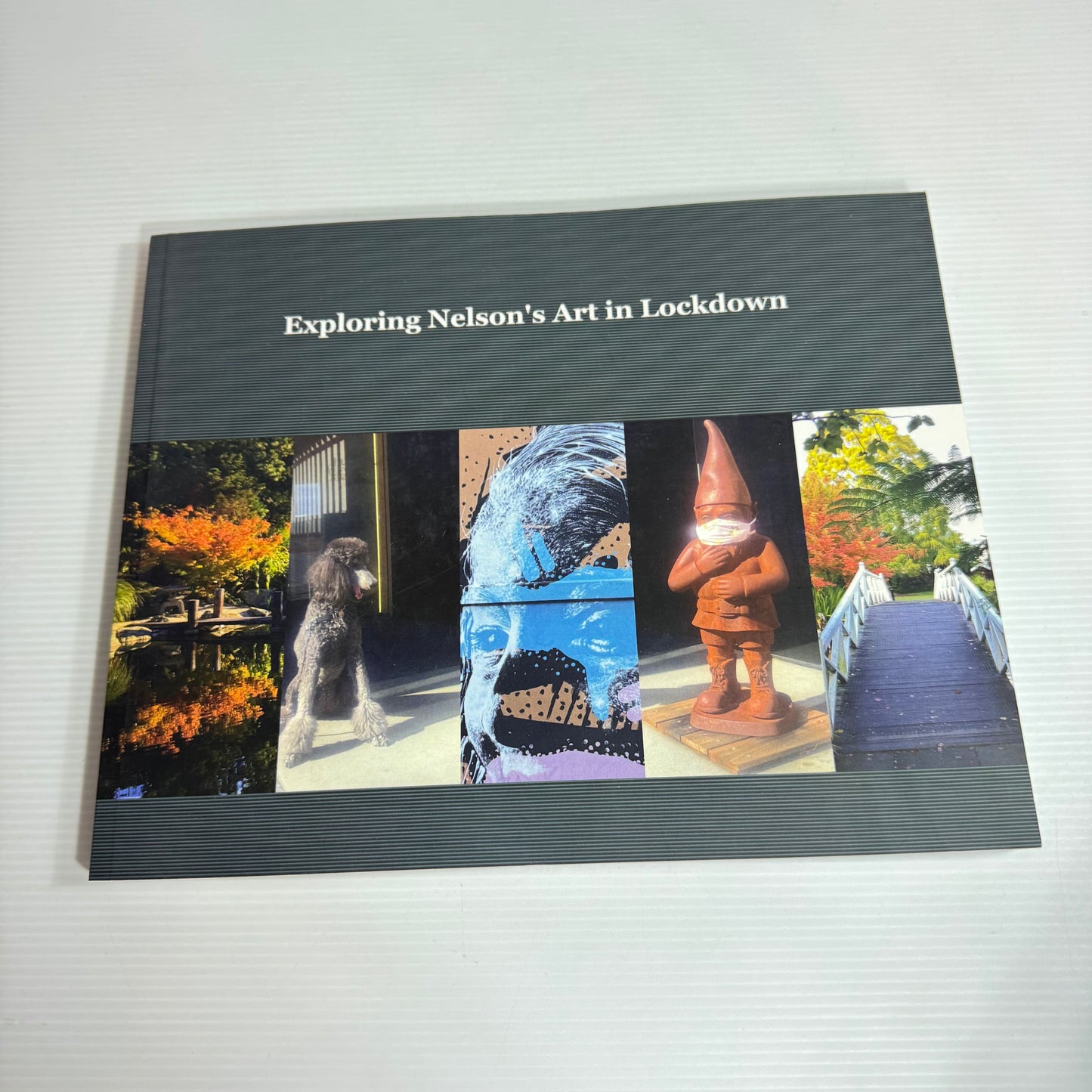 Exploring Nelson's Art In Lockdown - Anne Chase (New)