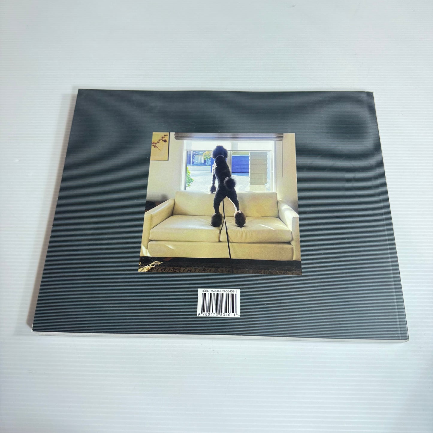 Exploring Nelson's Art In Lockdown - Anne Chase (New)