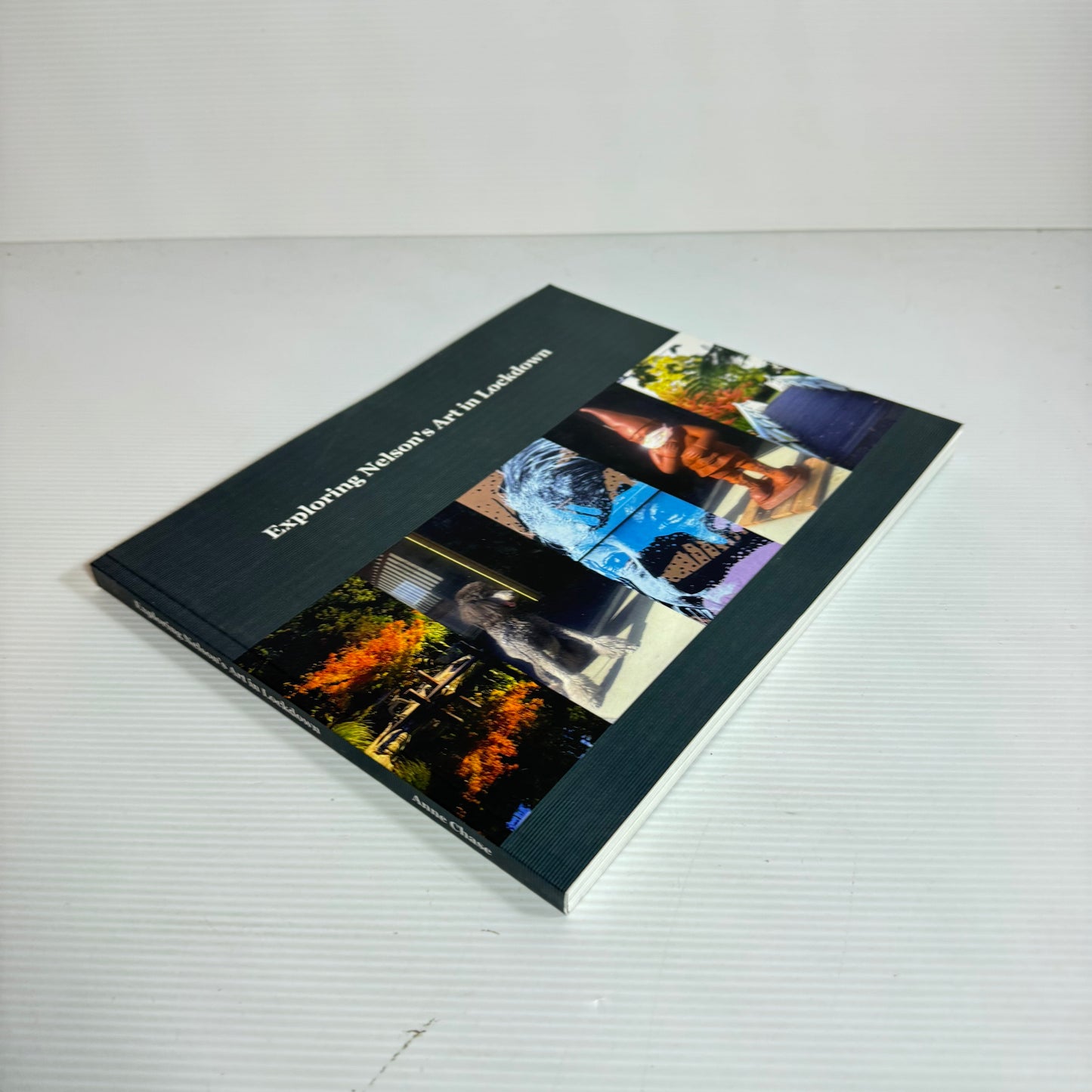 Exploring Nelson's Art In Lockdown - Anne Chase (New)