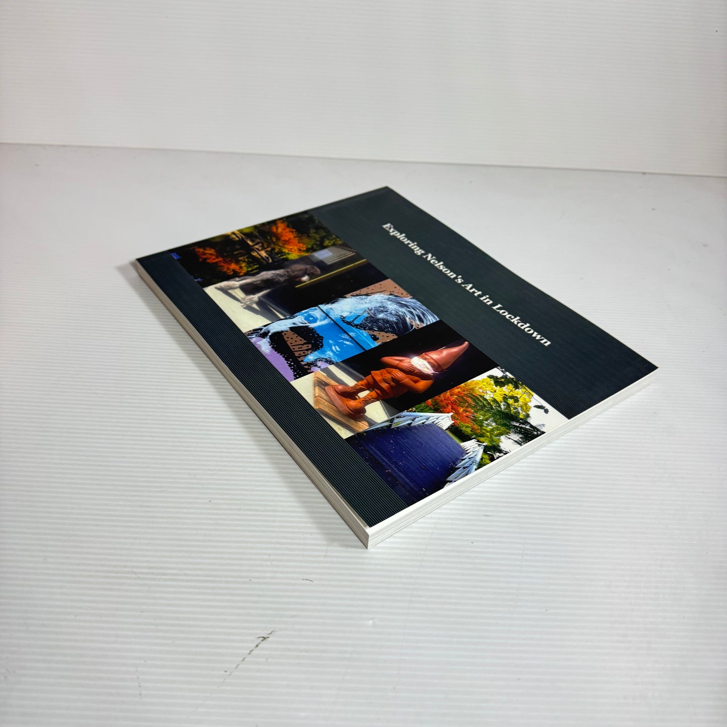 Exploring Nelson's Art In Lockdown - Anne Chase (New)