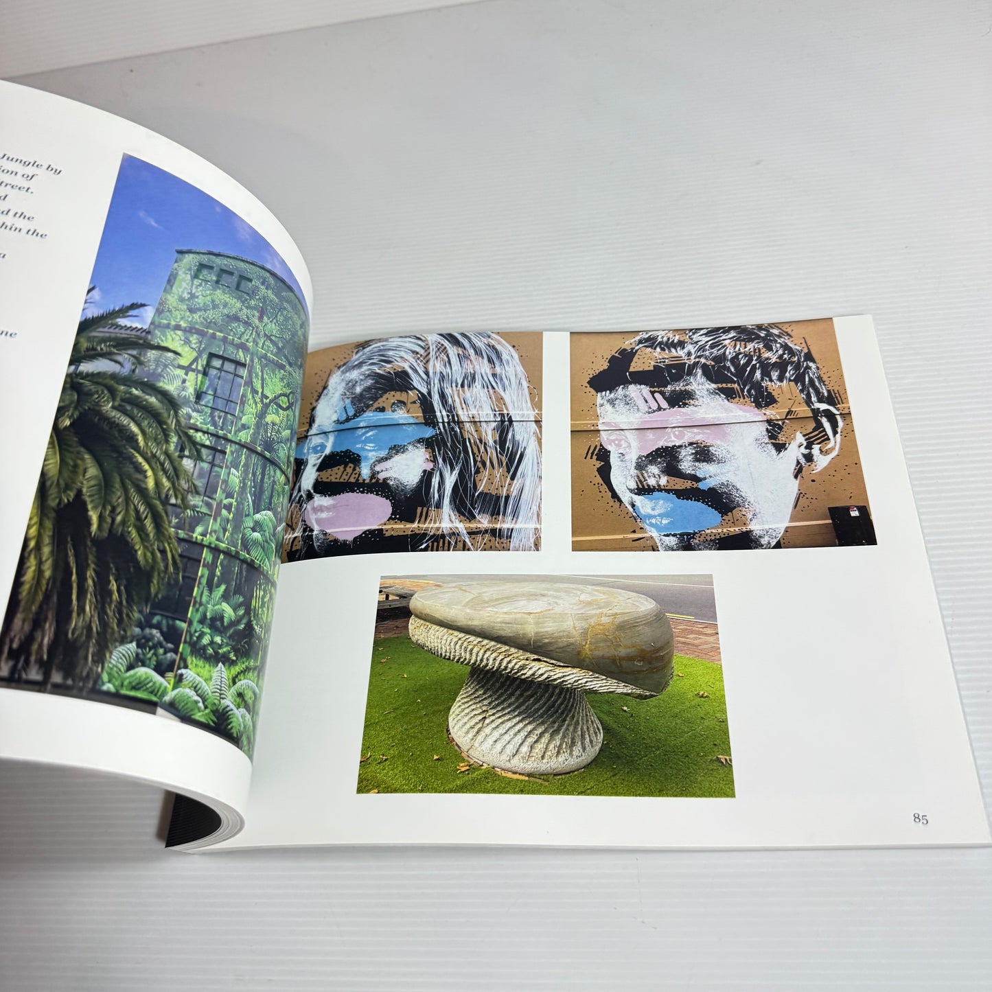 Exploring Nelson's Art In Lockdown - Anne Chase (New)
