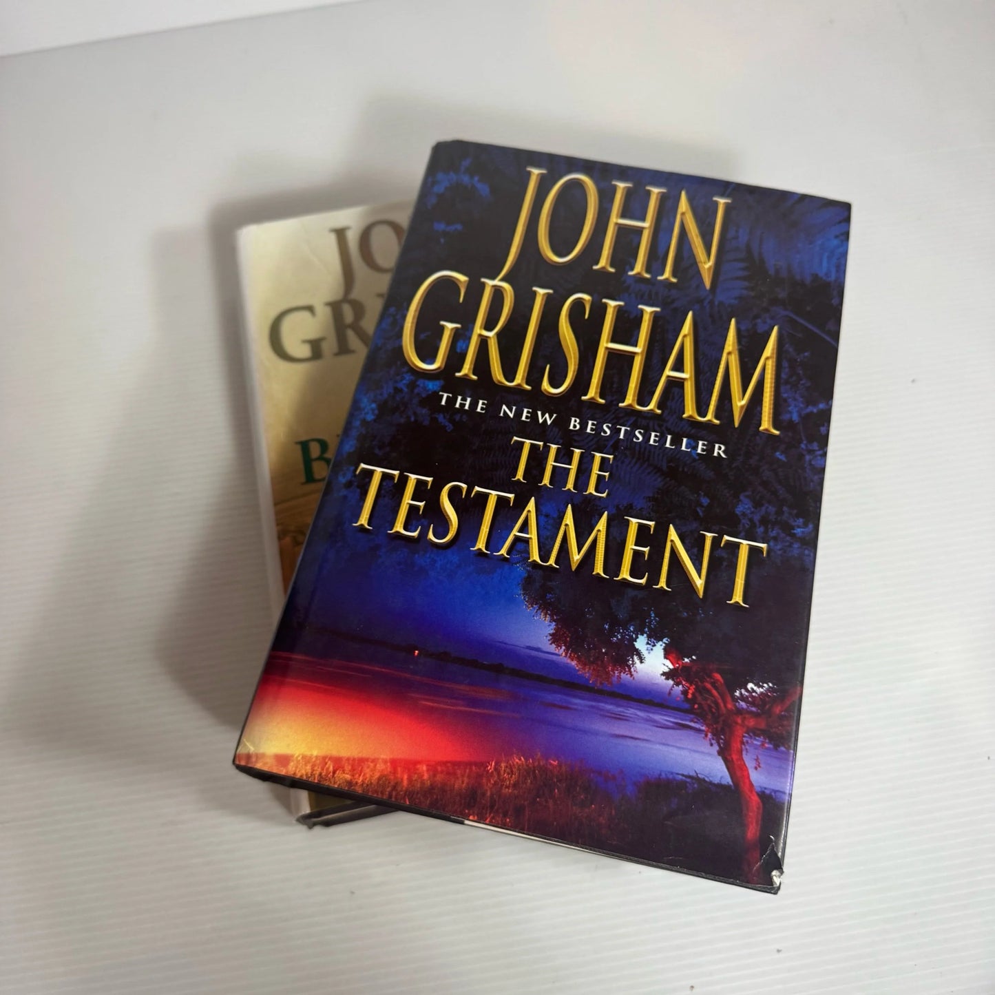 John Grisham Book Bundle x 2 : The Testament & The Brethren (2338)