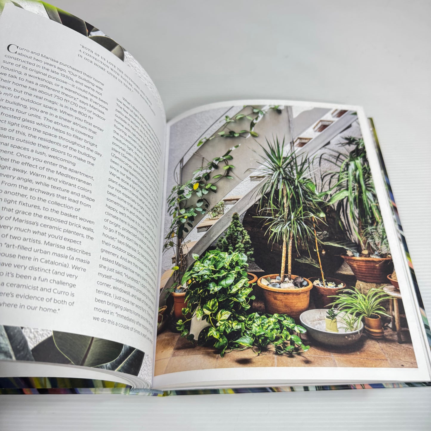 Wild Interiors: Beautiful Plants In Beautiful Spaces - Hilton Cater (New)