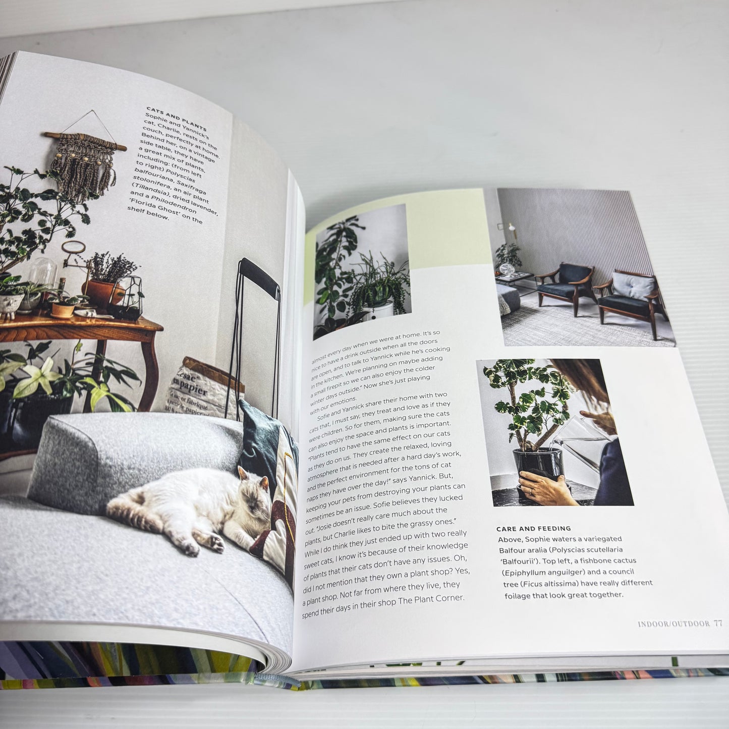 Wild Interiors: Beautiful Plants In Beautiful Spaces - Hilton Cater (New)