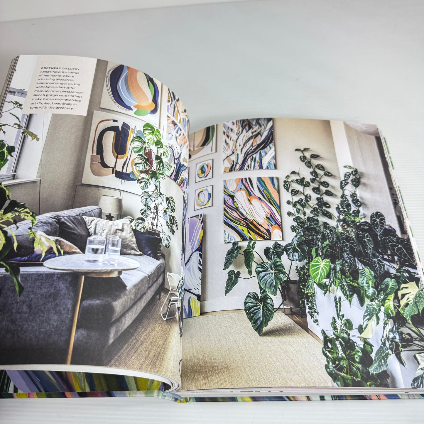 Wild Interiors: Beautiful Plants In Beautiful Spaces - Hilton Cater (New)
