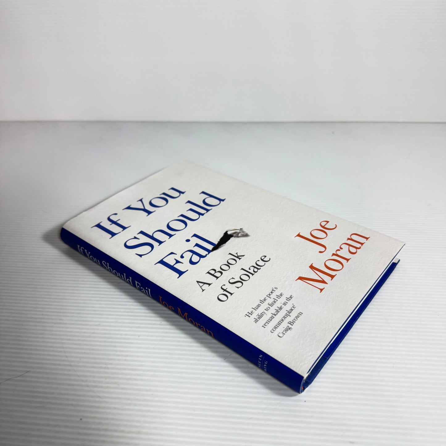 If You Should Fail : A Book of Solace - Joe Moran (New)