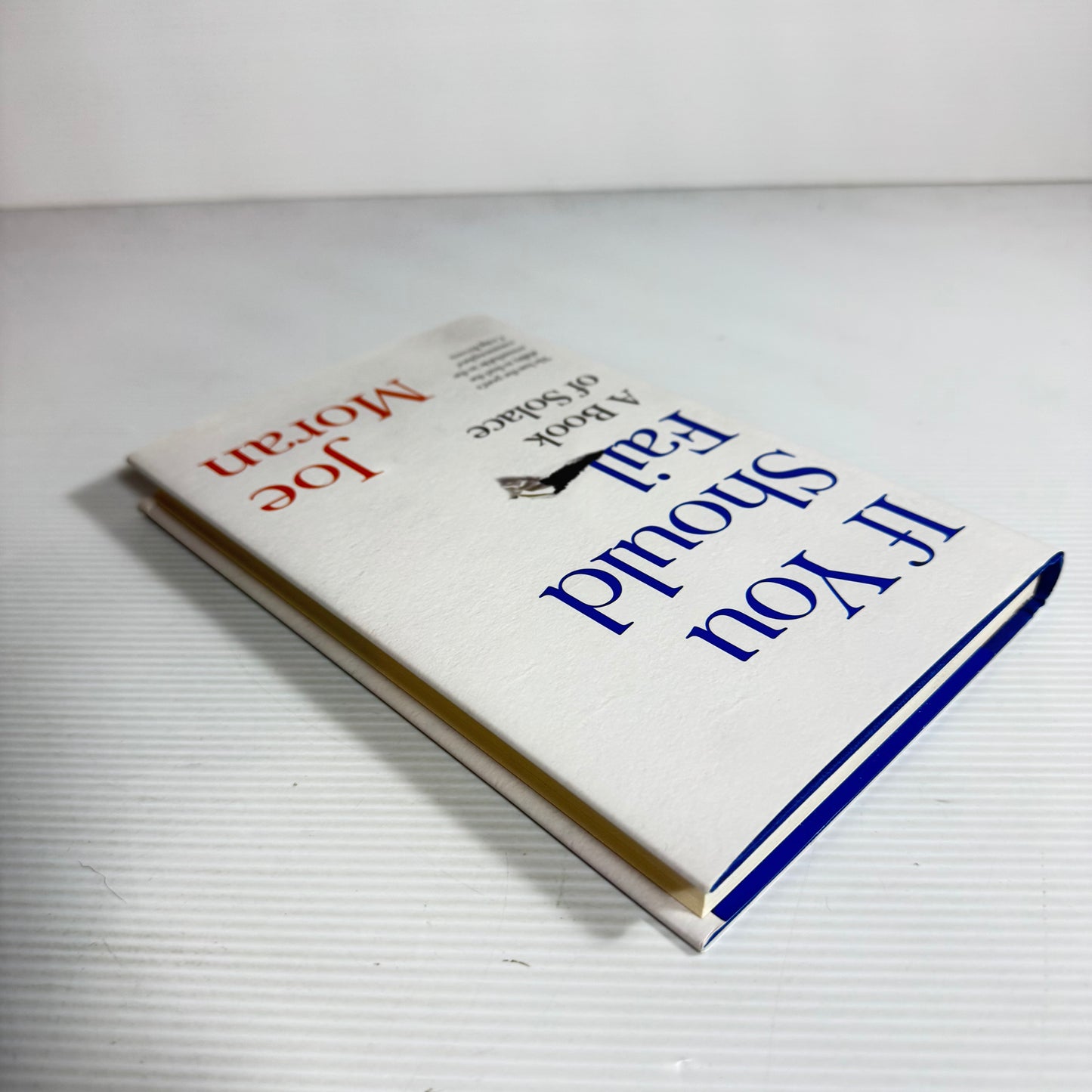 If You Should Fail : A Book of Solace - Joe Moran (New)