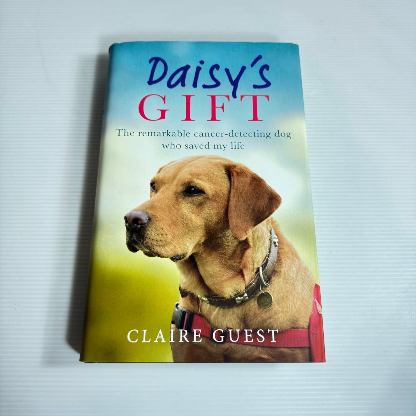 Daisy's Gift : The Remarkable Cancer-detecting Dog Who Saved My Life - Claire Guest (New)