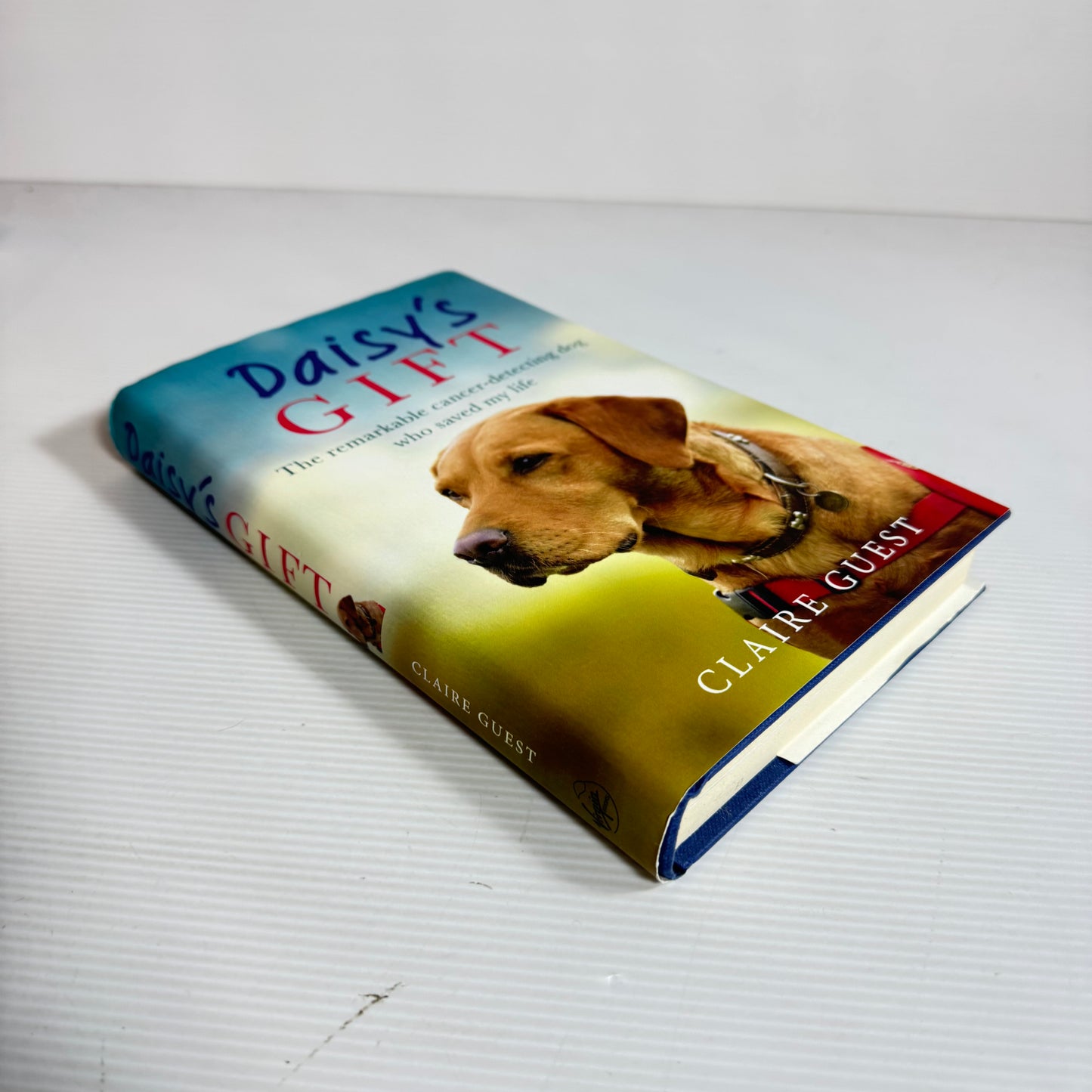 Daisy's Gift : The Remarkable Cancer-detecting Dog Who Saved My Life - Claire Guest (New)
