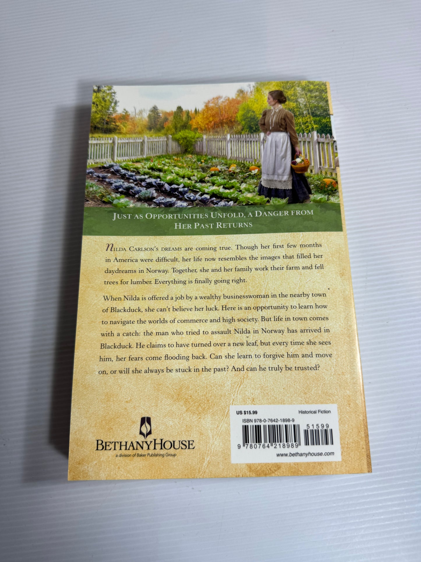 A Season of Grace : Under Northern Skies 3 - Lauraine Snelling (New)