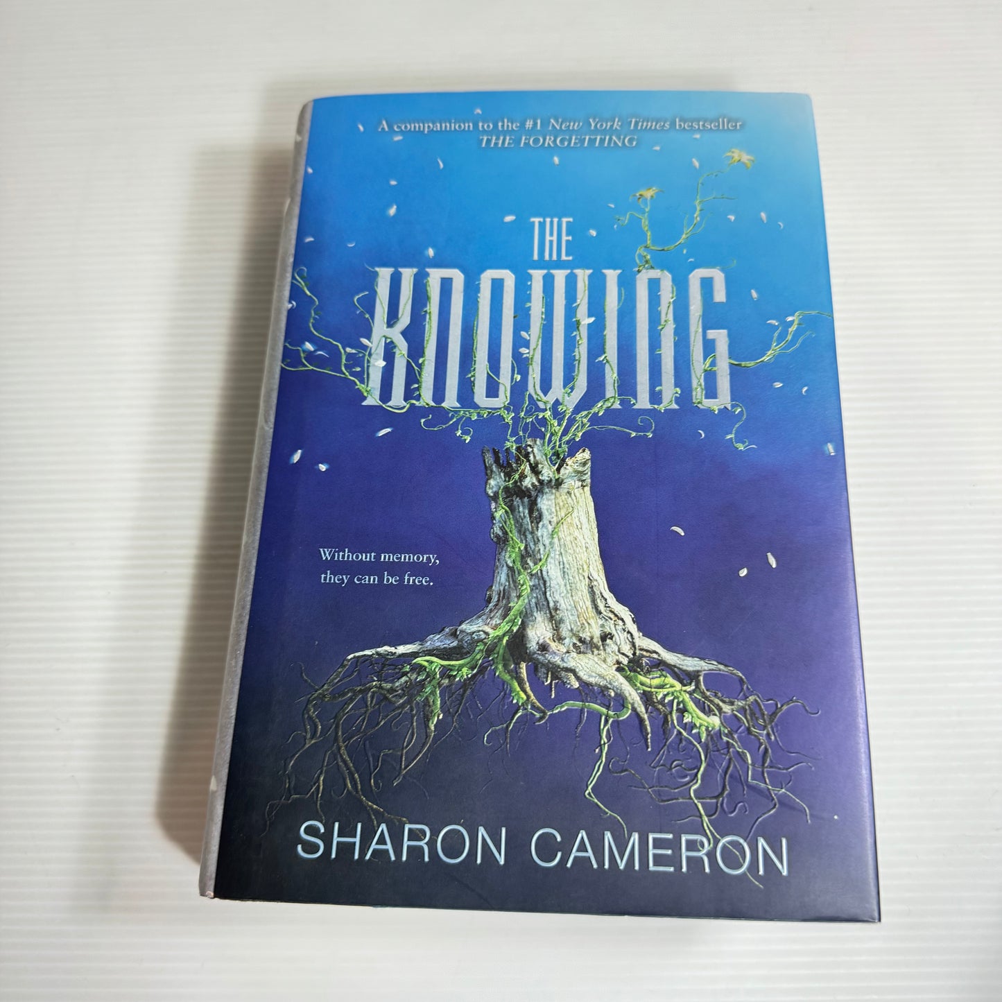 The Knowing - Sharon Cameron (New)