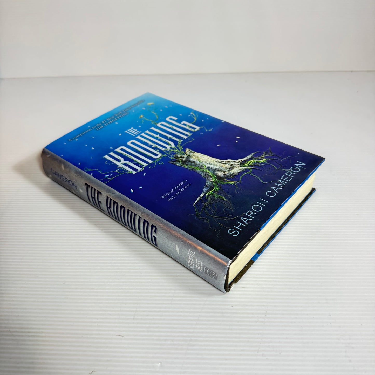 The Knowing - Sharon Cameron (New)