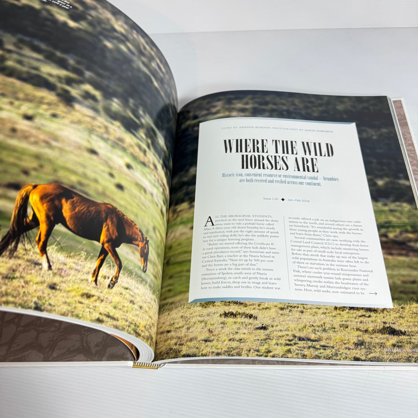 Australian Geographic: Australia Gone Wild: An Anthology Of The Best Nature Stories From Australian Geographic (New)