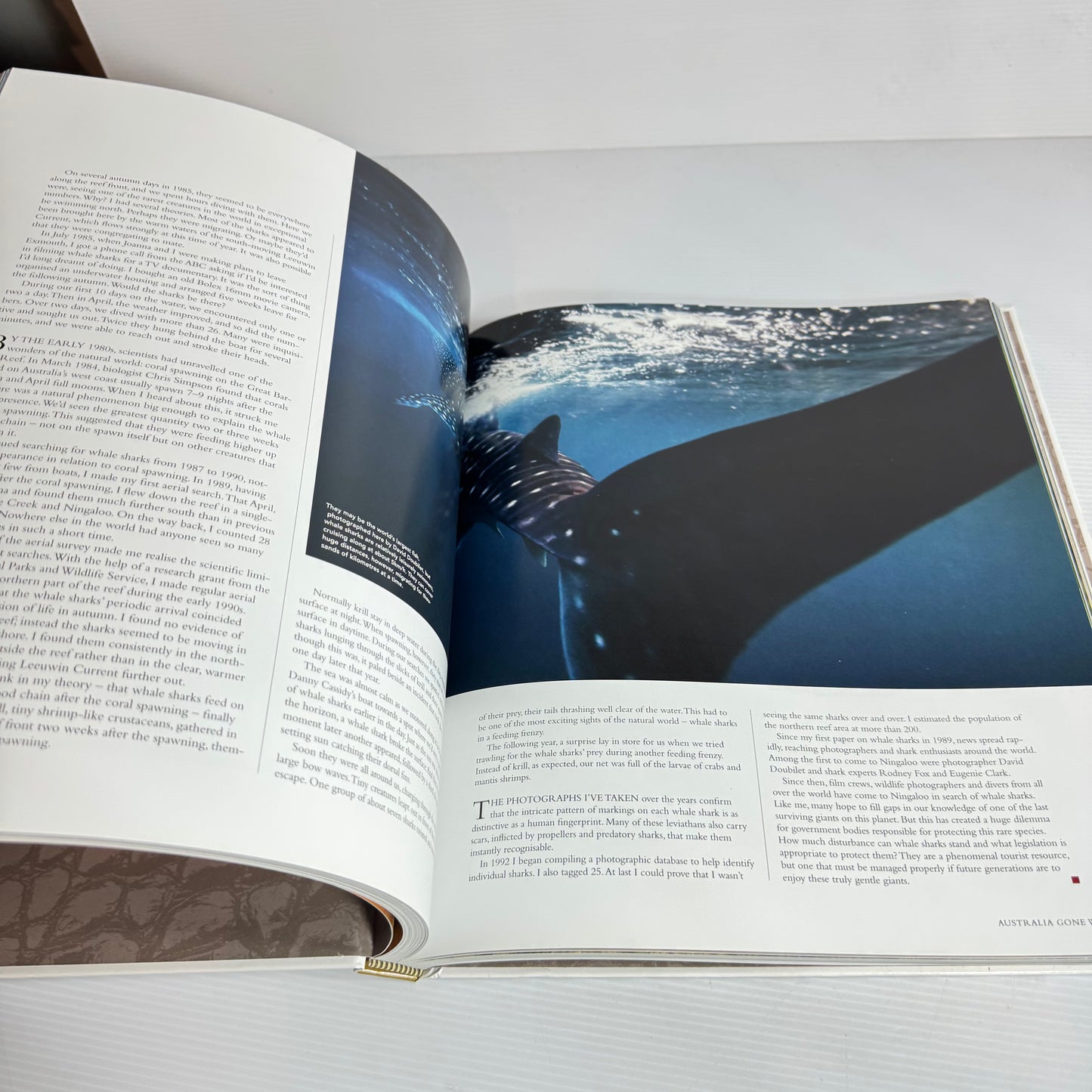 Australian Geographic: Australia Gone Wild: An Anthology Of The Best Nature Stories From Australian Geographic (New)