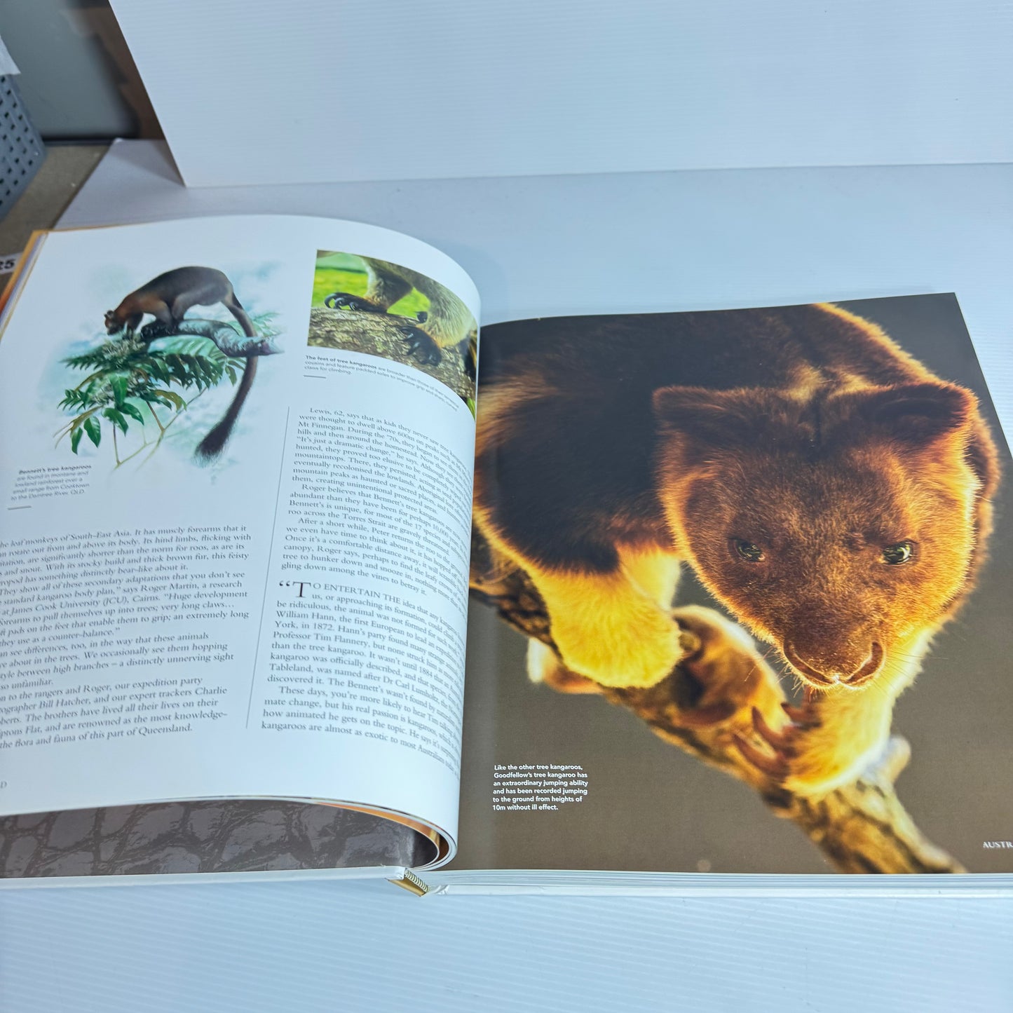Australian Geographic: Australia Gone Wild: An Anthology Of The Best Nature Stories From Australian Geographic (New)