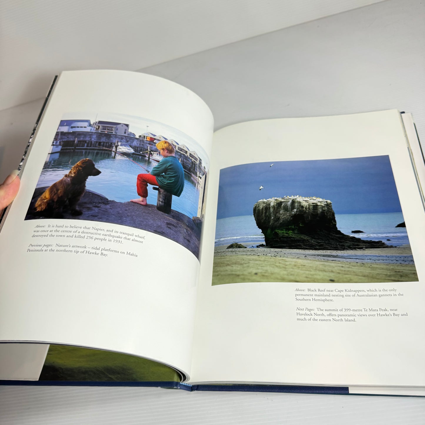 New Zealand A Vision - Graeme Matthews