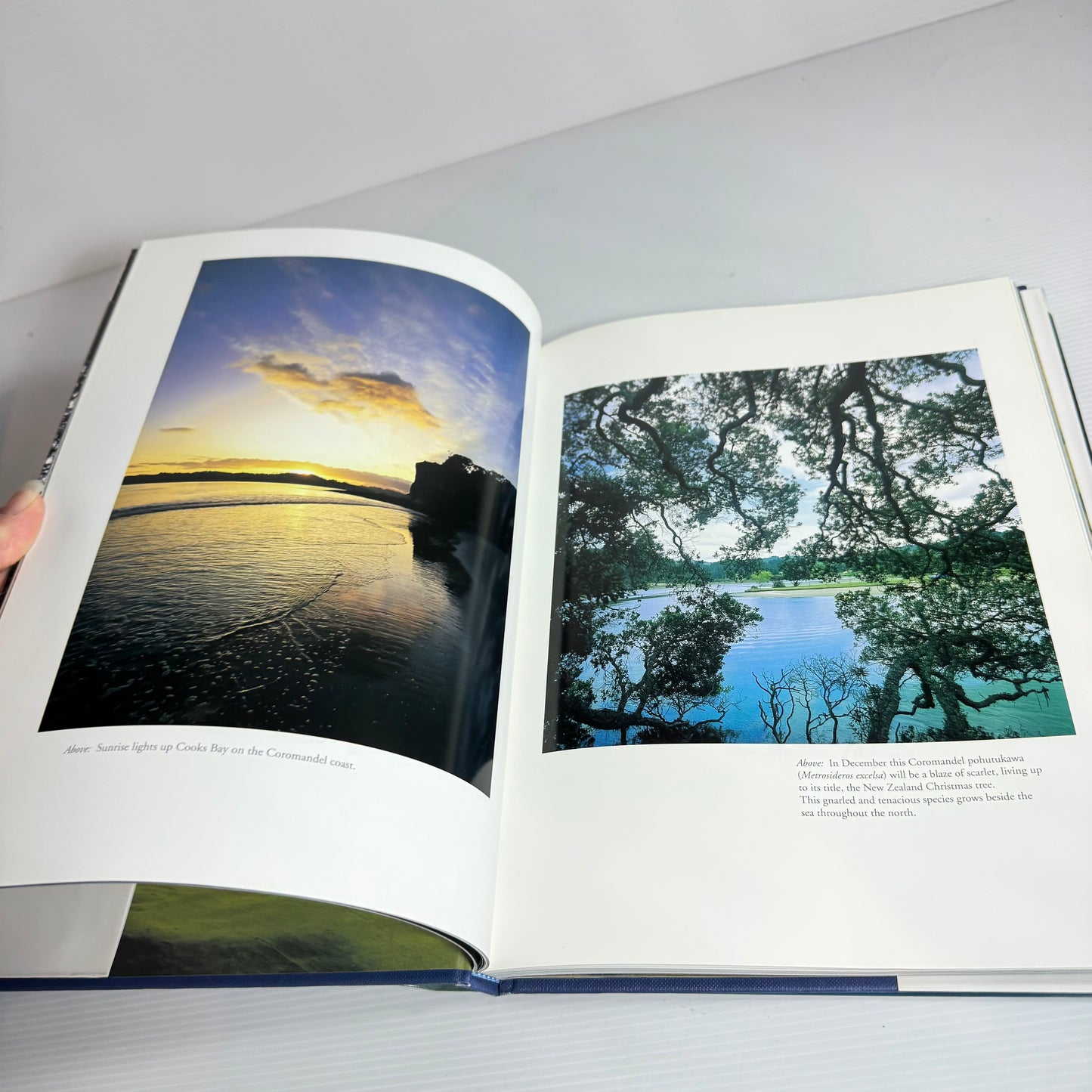 New Zealand A Vision - Graeme Matthews