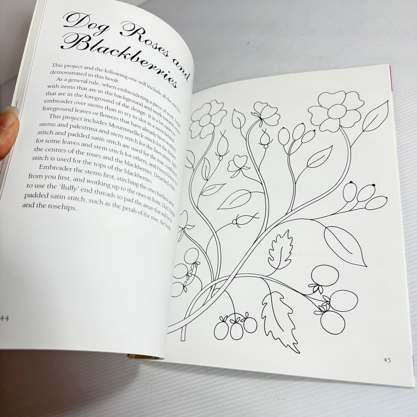 Beginner's Guide To Mountmellick Embroidery - Pat Trott (New)