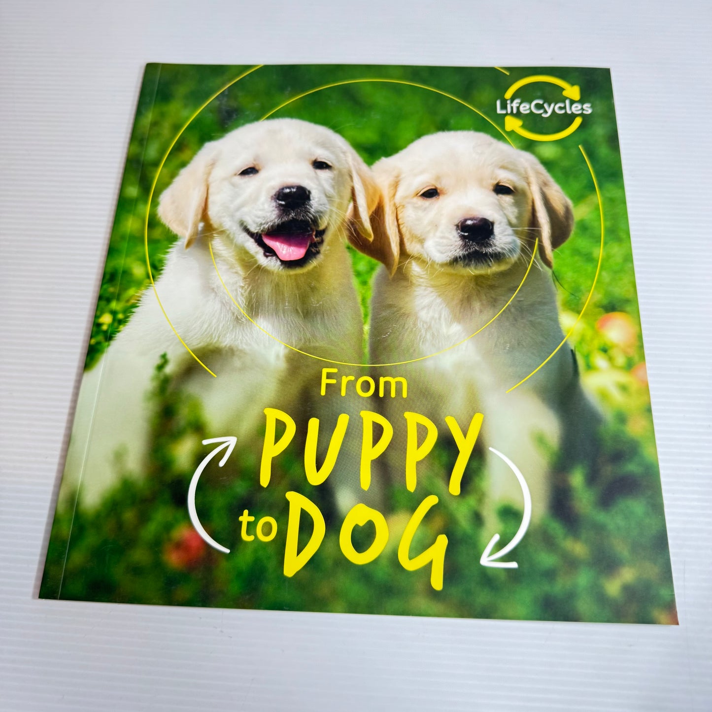 From puppy To Dog - Life Cycles (New)