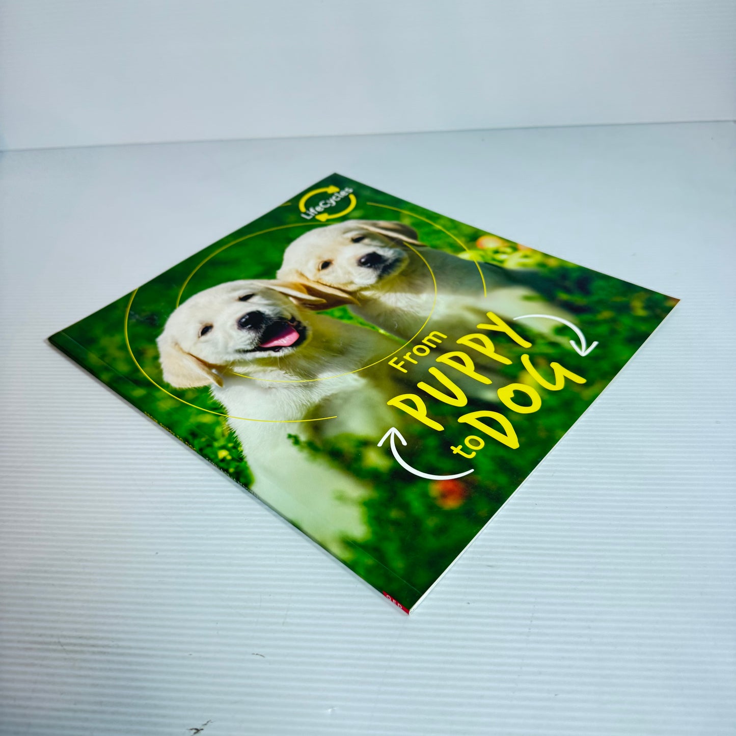 From puppy To Dog - Life Cycles (New)