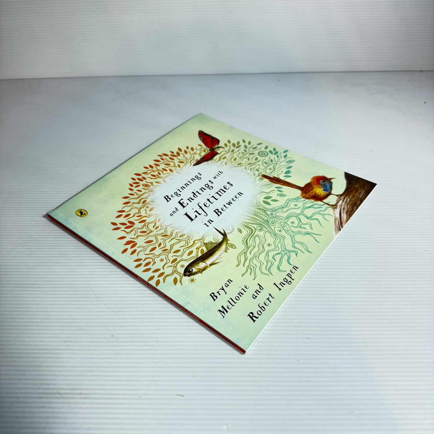 Beginnings And Endings With Lifetimes In Between - Bryan Mellonie And Robert Ingpen (New)