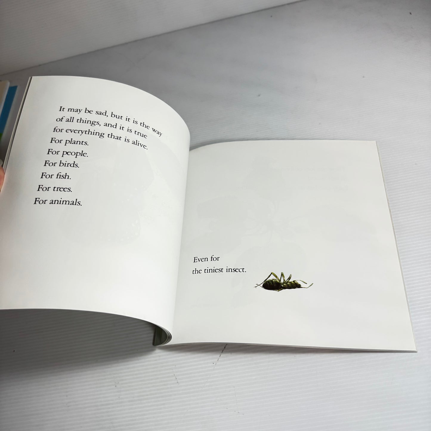 Beginnings And Endings With Lifetimes In Between - Bryan Mellonie And Robert Ingpen (New)