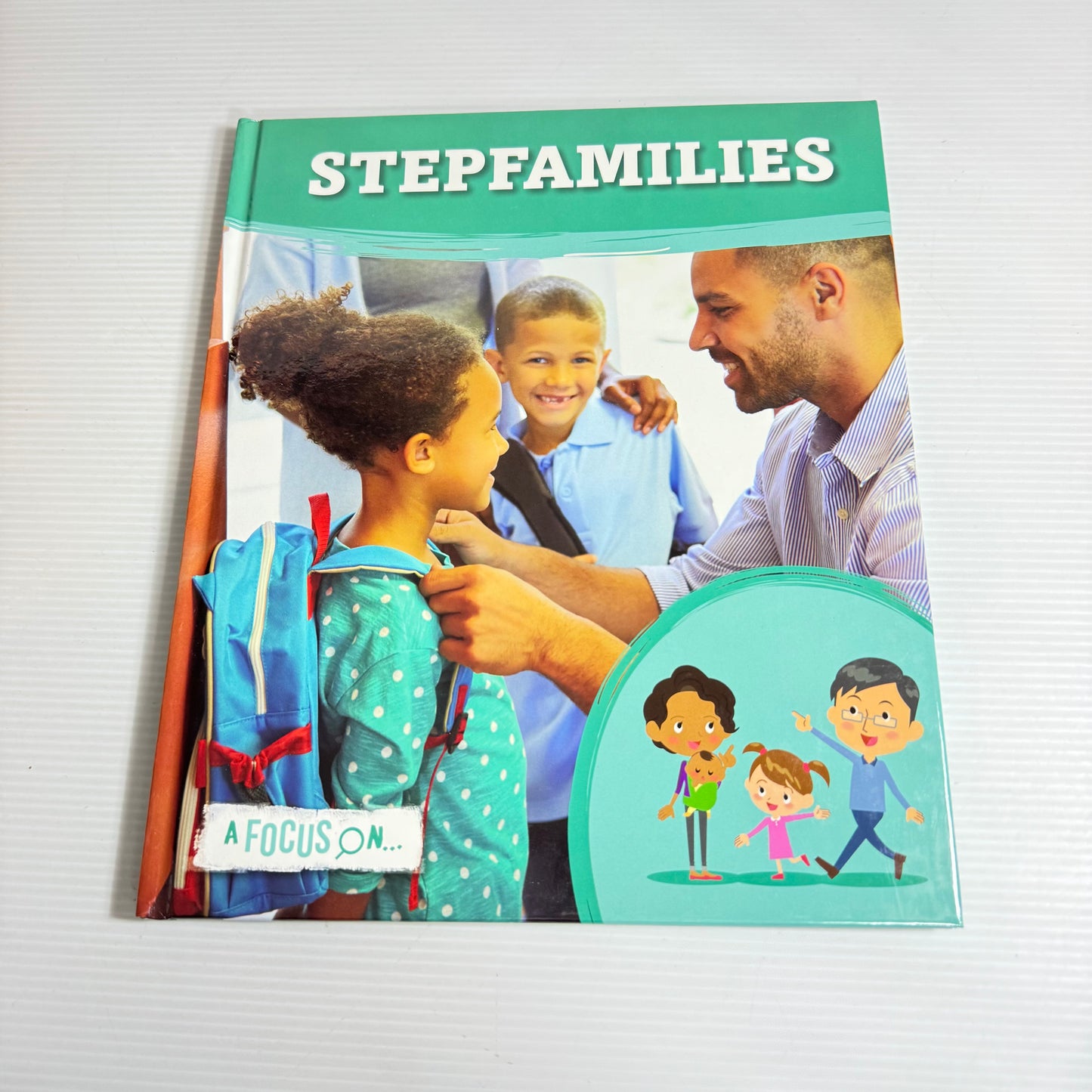 A Focus On Stepfamilies - Holly Duhig (New)