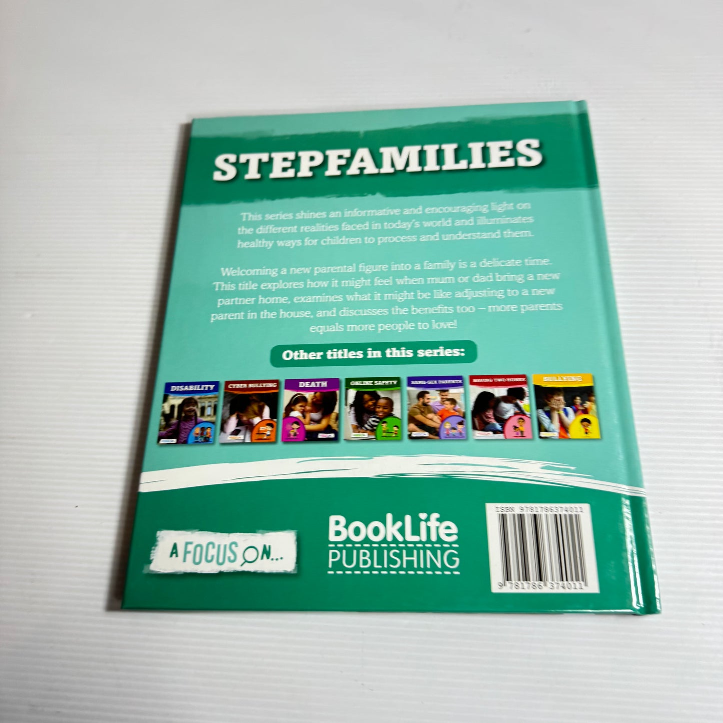 A Focus On Stepfamilies - Holly Duhig (New)