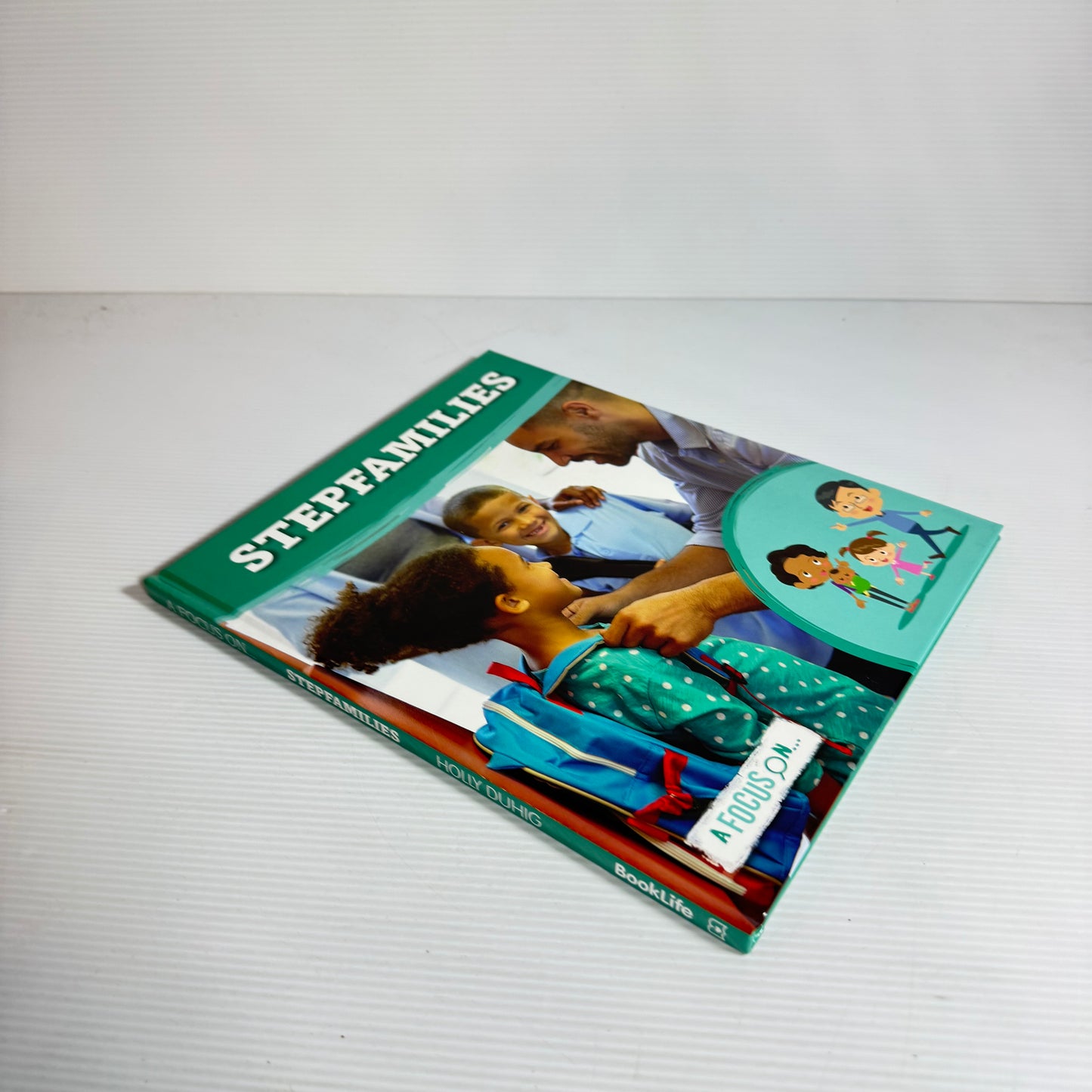 A Focus On Stepfamilies - Holly Duhig (New)