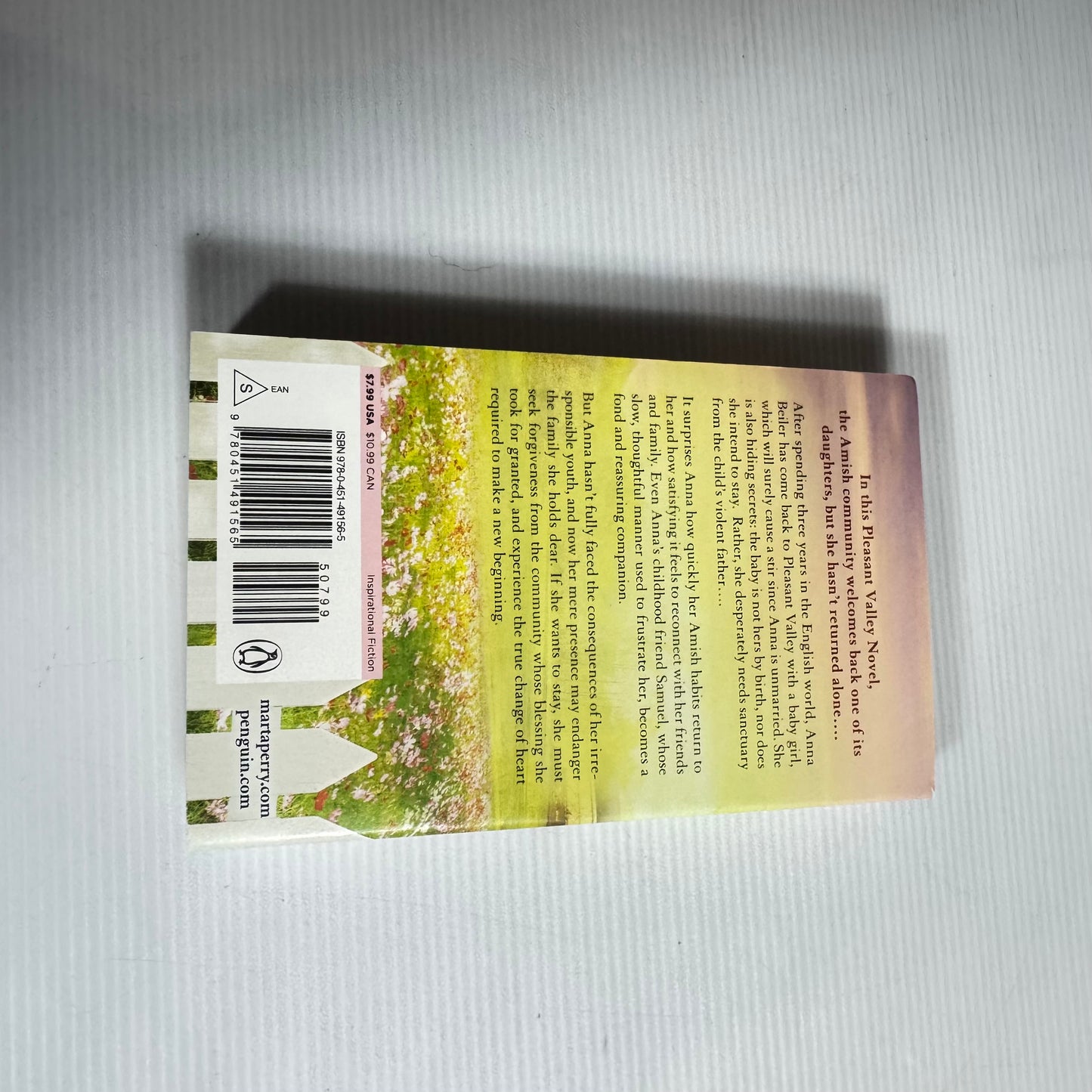 Anna's Return: A Pleasant Valley Novel - Marta Perry (New)