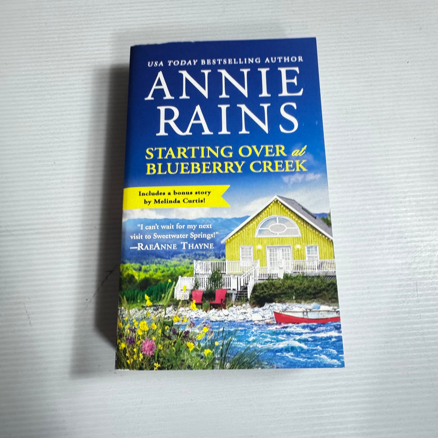 Starting Over At Blueberry Creek - Annie Rains (New)
