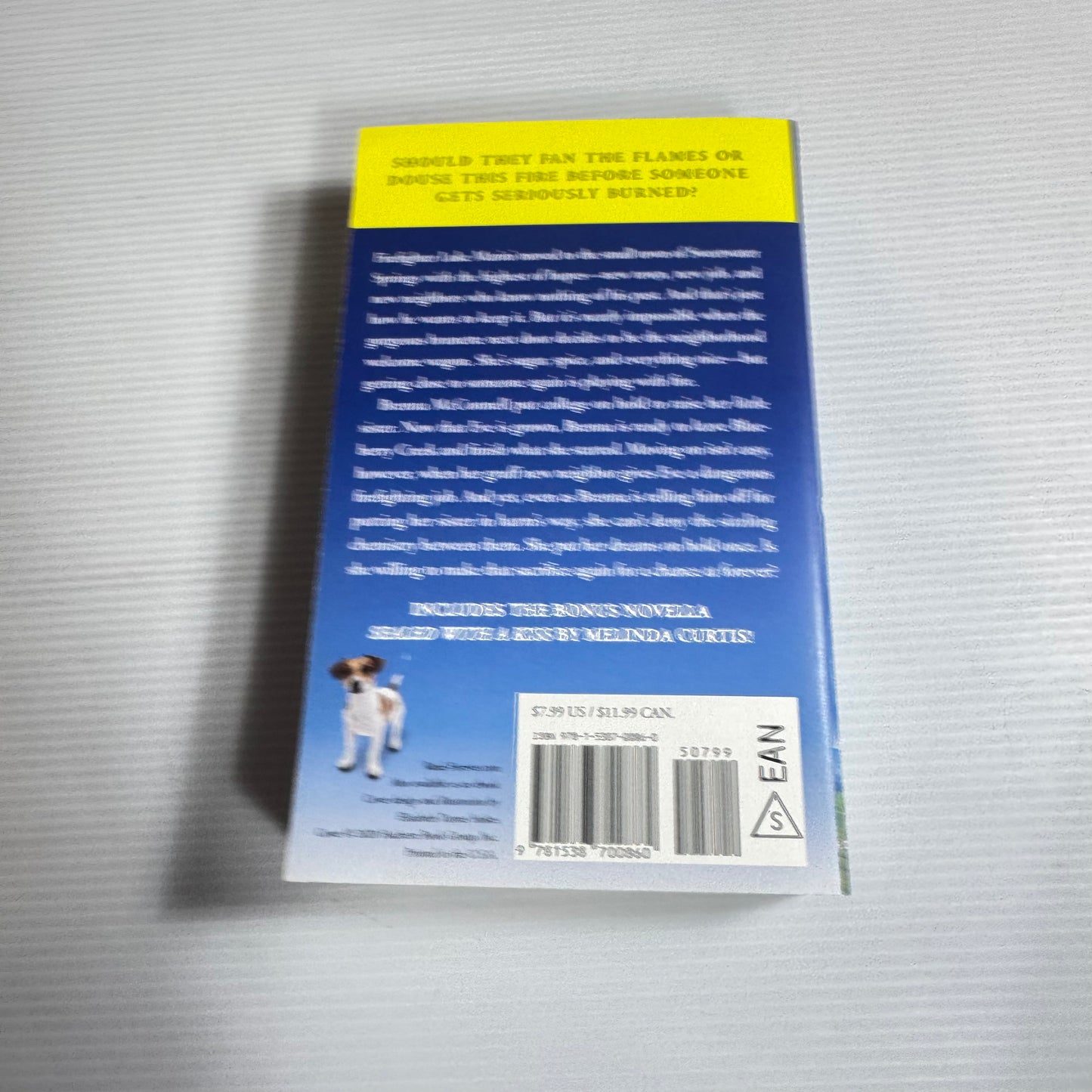 Starting Over At Blueberry Creek - Annie Rains (New)
