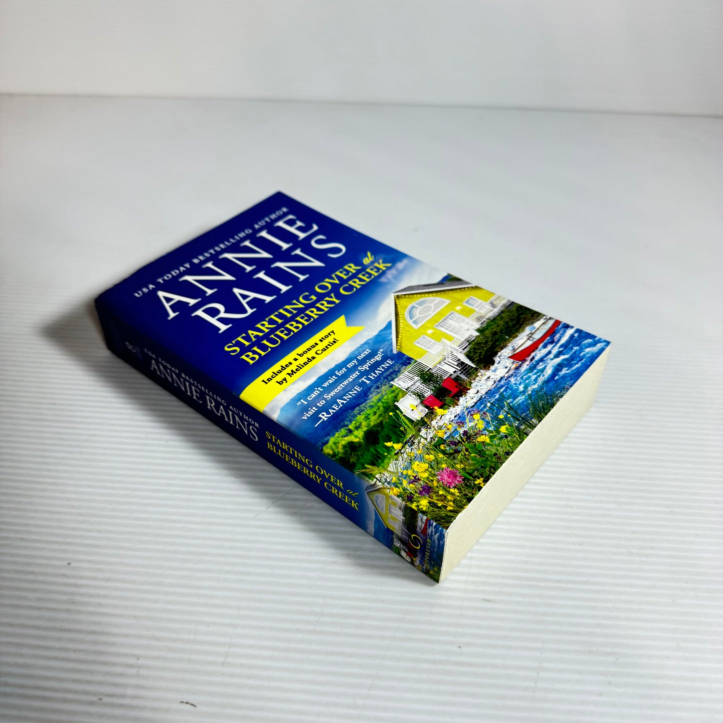 Starting Over At Blueberry Creek - Annie Rains (New)