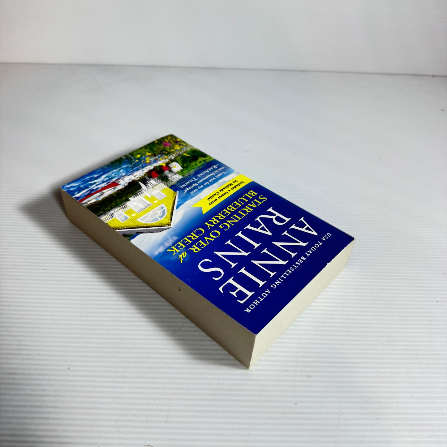 Starting Over At Blueberry Creek - Annie Rains (New)