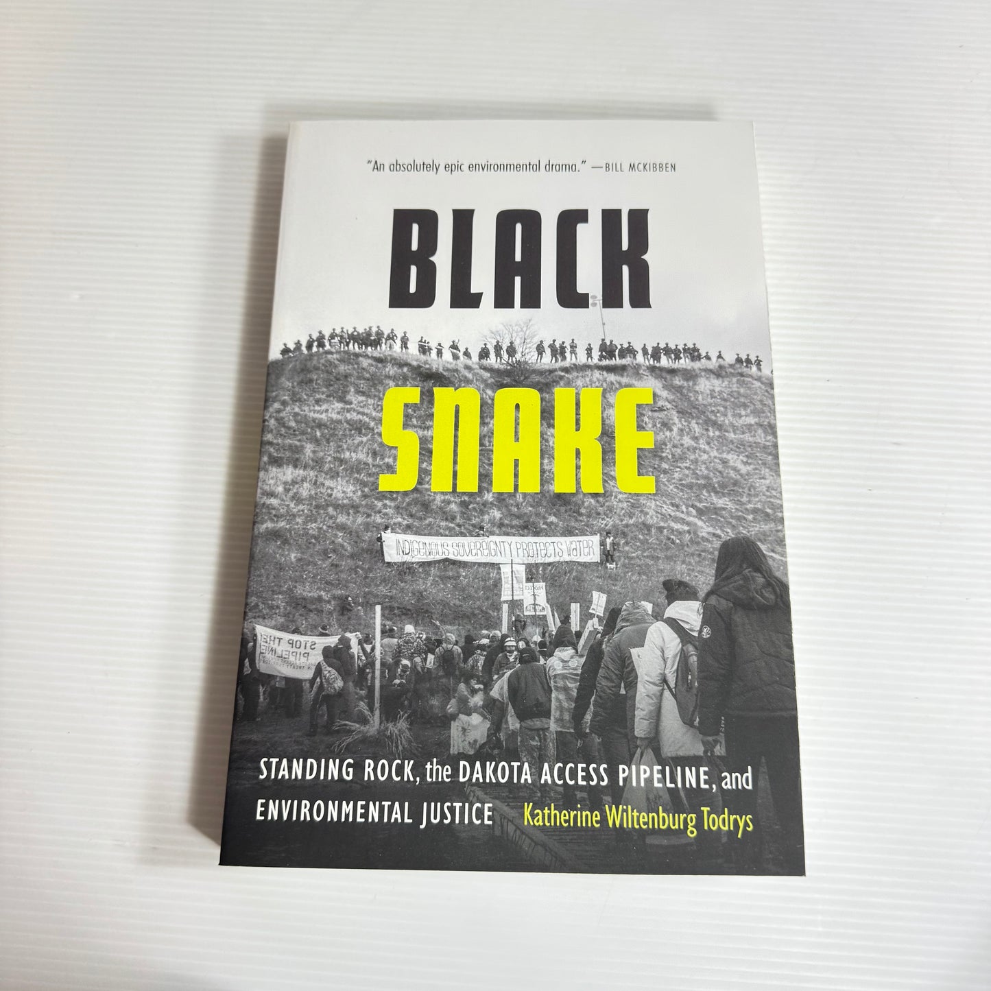 Black Snake : Standing Rock, the Dakota Access Pipeline, and the Environmental Justice - Katherine Wiltenburg Todrys (New)