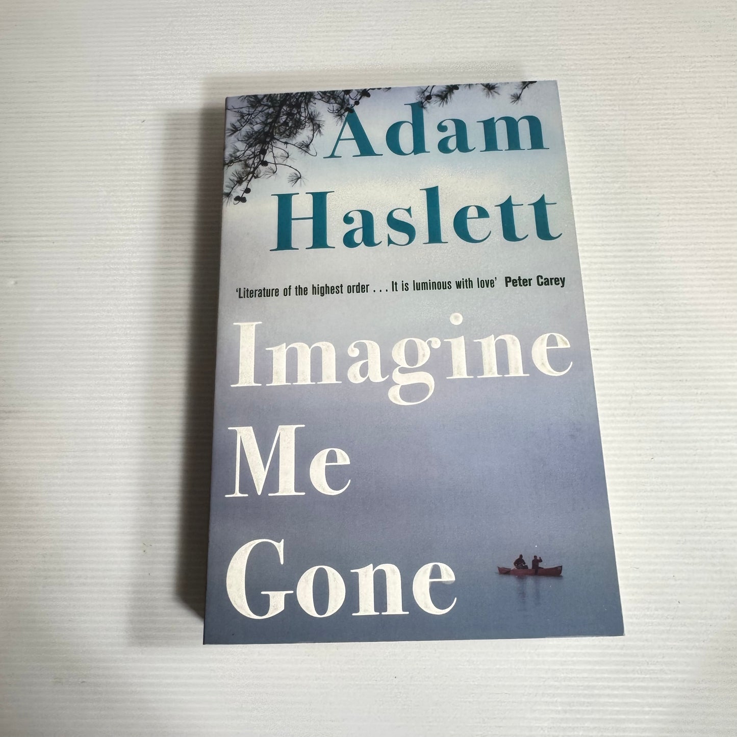 Imagine Me Gone - Adam Haslett (New)