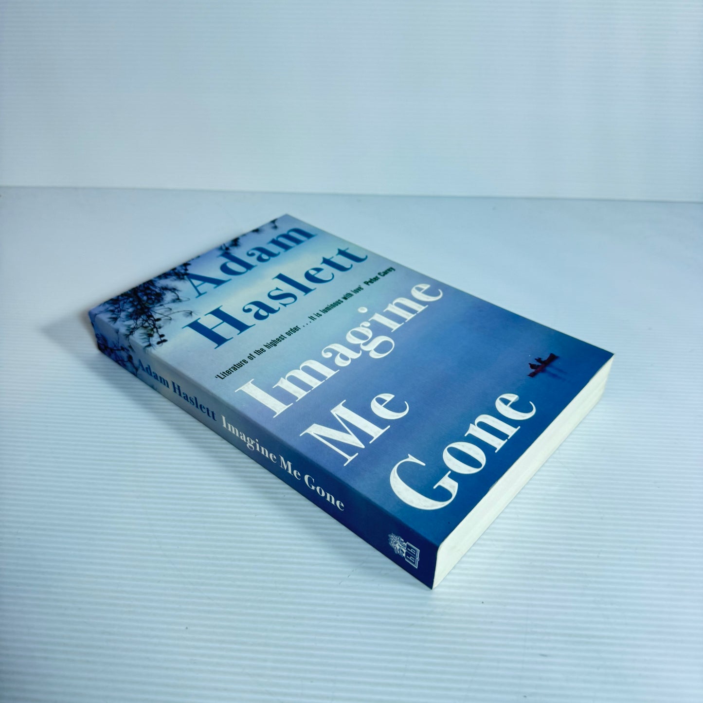 Imagine Me Gone - Adam Haslett (New)