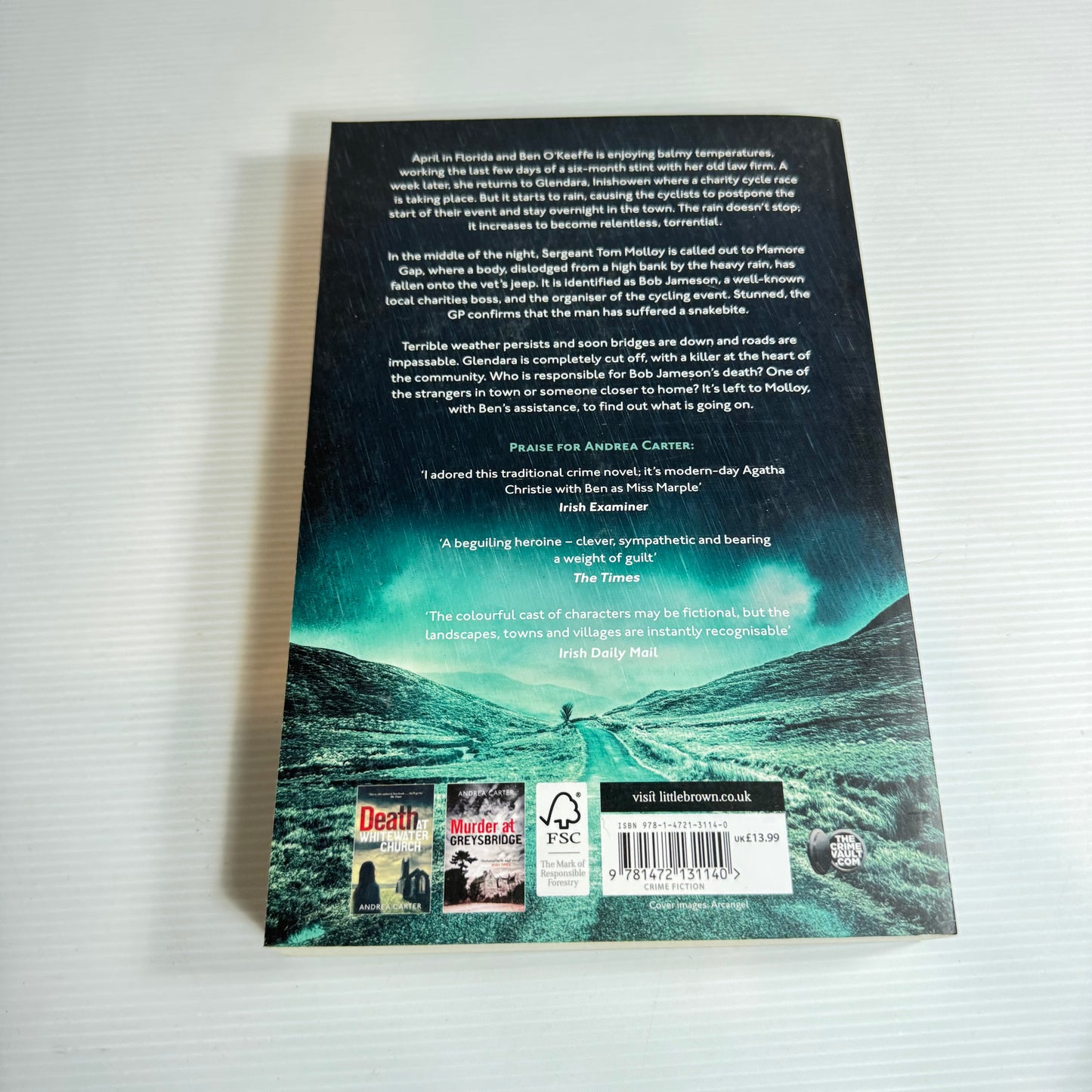 The Body Falls - Andrea Carter (New)