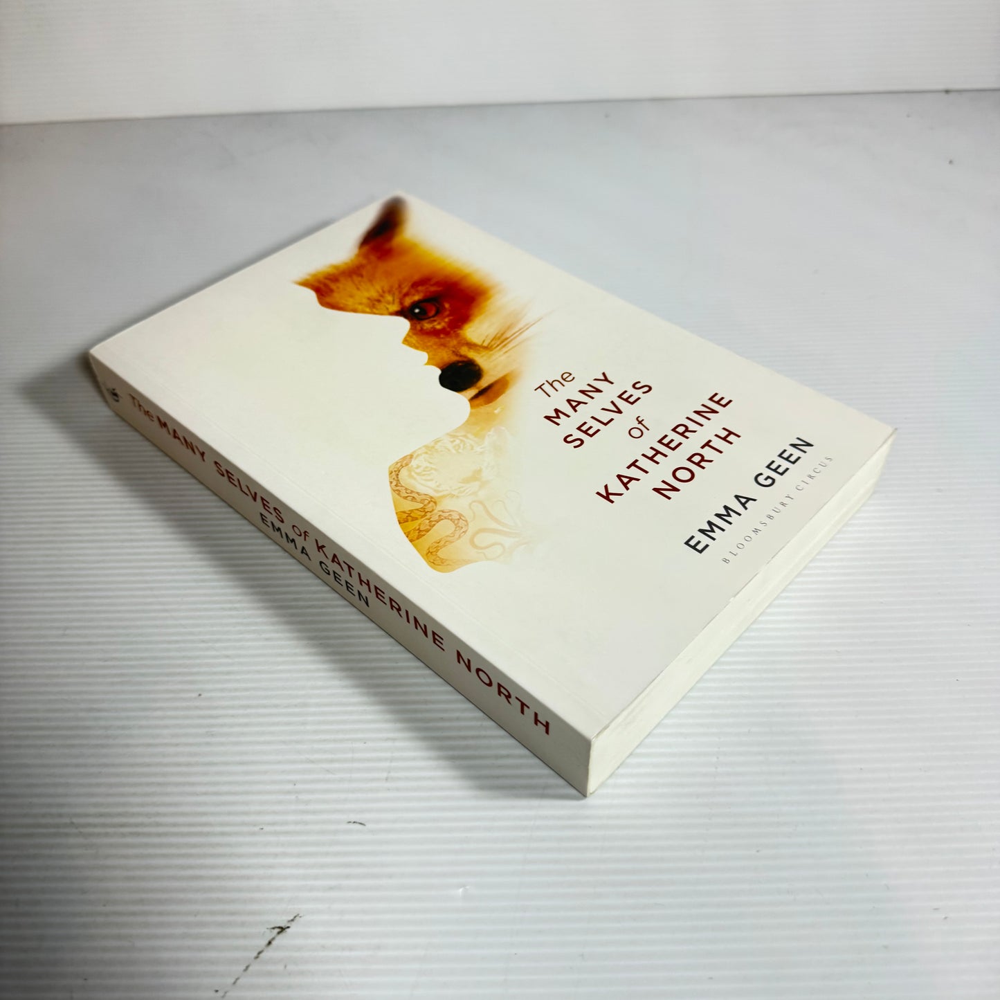 The Many Selves of Katherine North - Emma Geen (New)