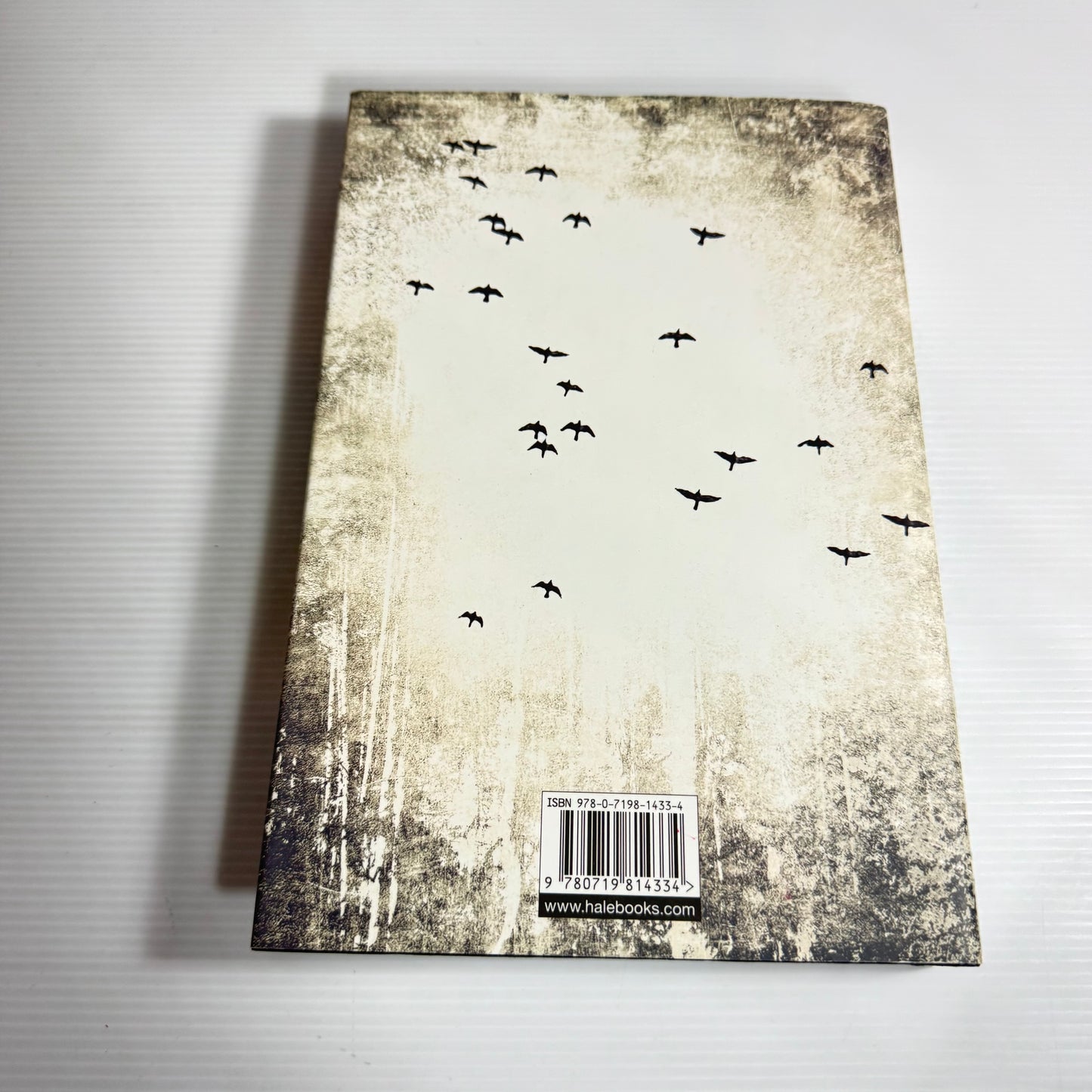A Narrow Victory - Faith Martin (New)
