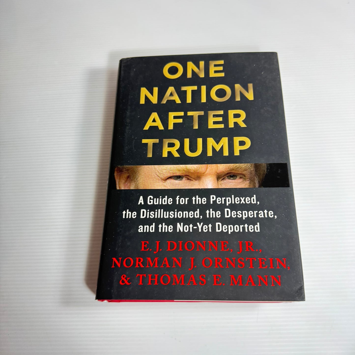One Nation After Trump - E.J. Dionne, Jr, Norman J. Ornstein, & Thomas E. Mann (New)