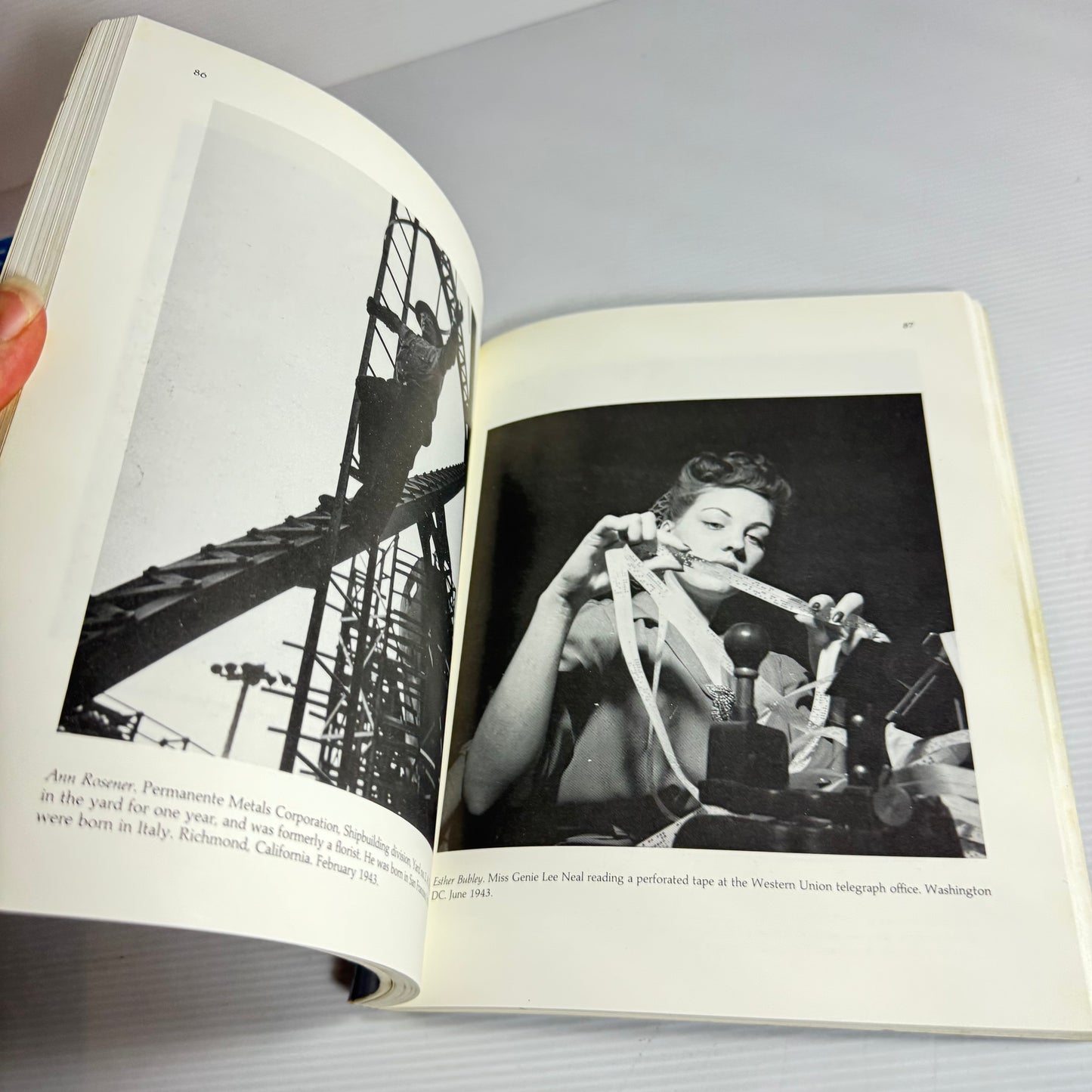 Let Us Now Praise Famous Women - Andrea Fisher