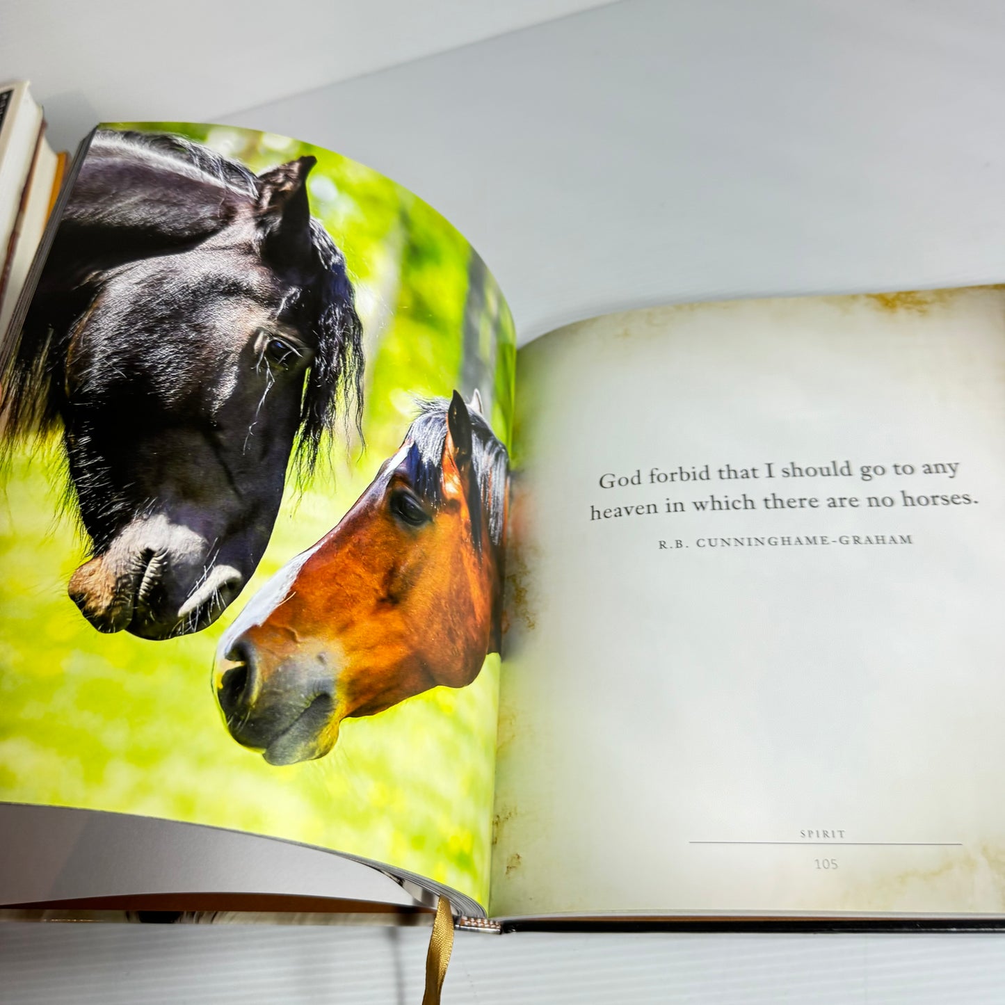 Spirit: A Book Of Happiness For Horse Lovers
