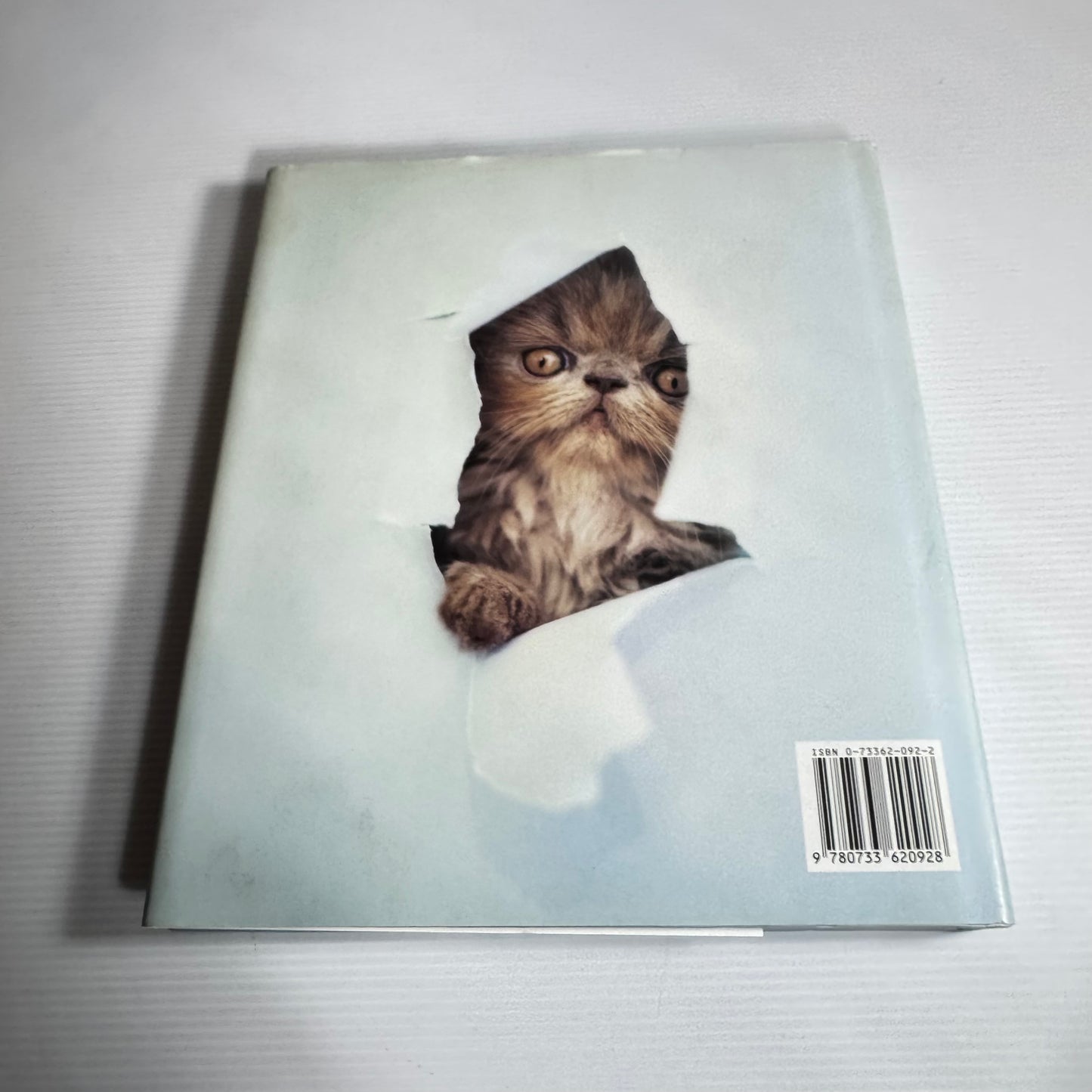 Smitten A Kitten's Guide To Happiness - Rachael Hale