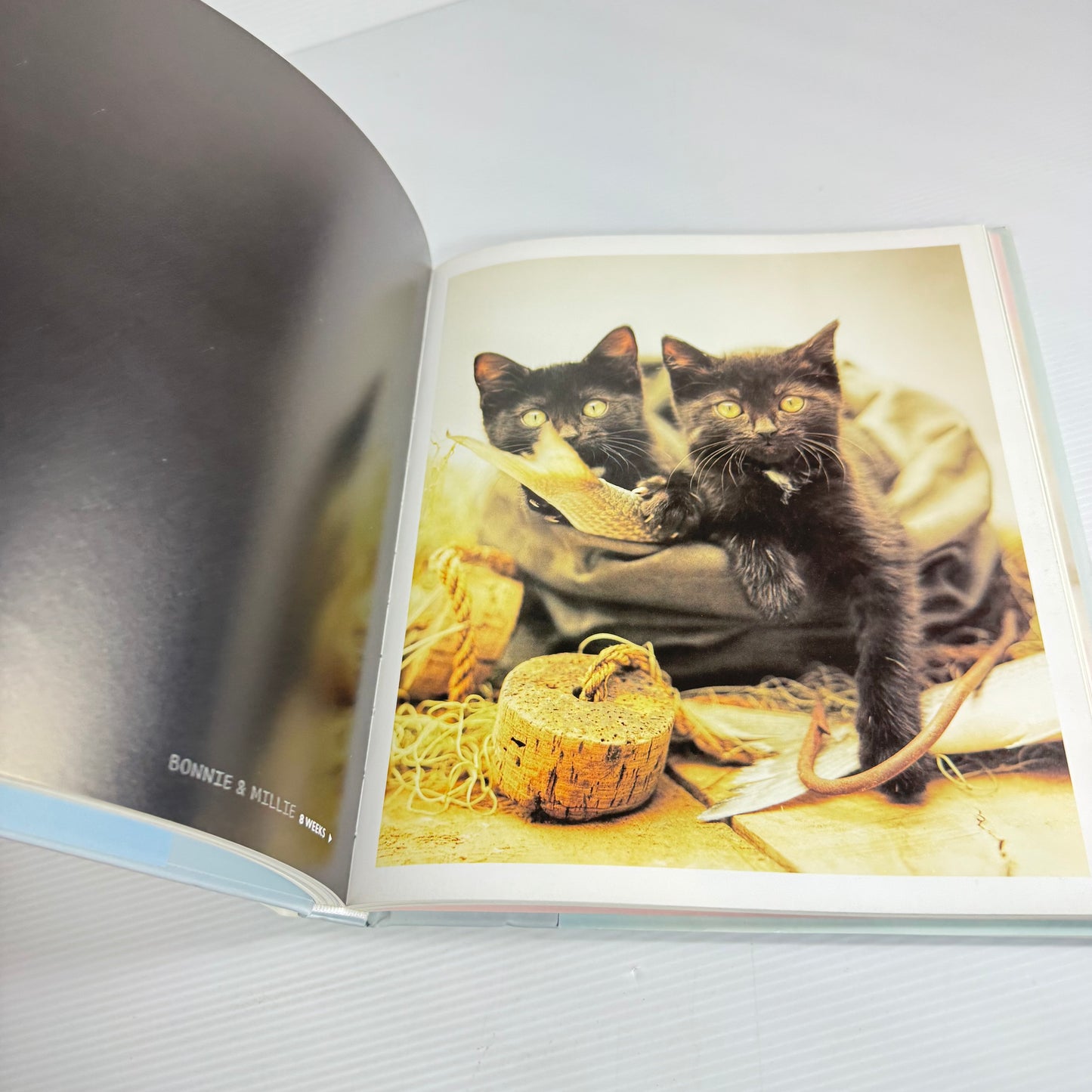 Smitten A Kitten's Guide To Happiness - Rachael Hale