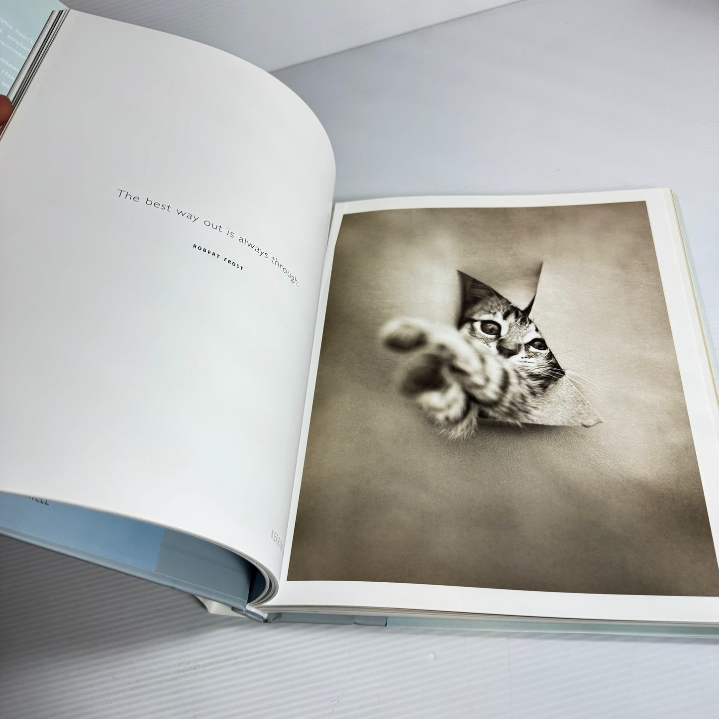 Smitten A Kitten's Guide To Happiness - Rachael Hale