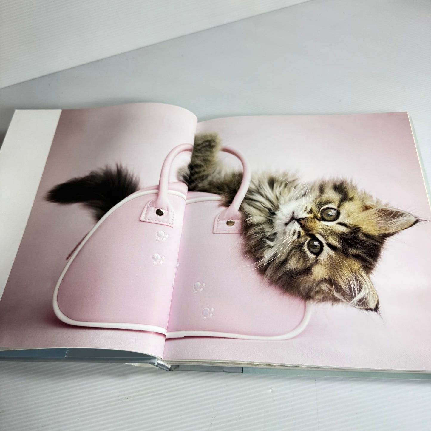 Smitten A Kitten's Guide To Happiness - Rachael Hale