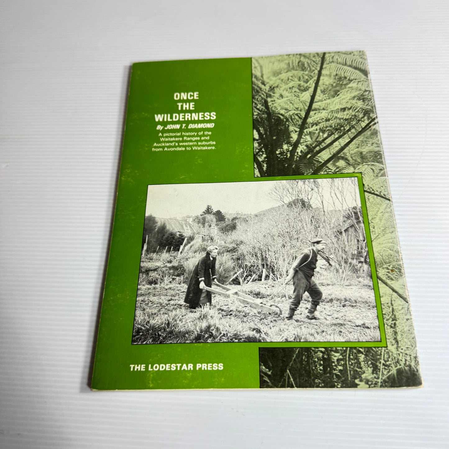 Once The Wilderness - John T. Diamond (Vintage 1977)