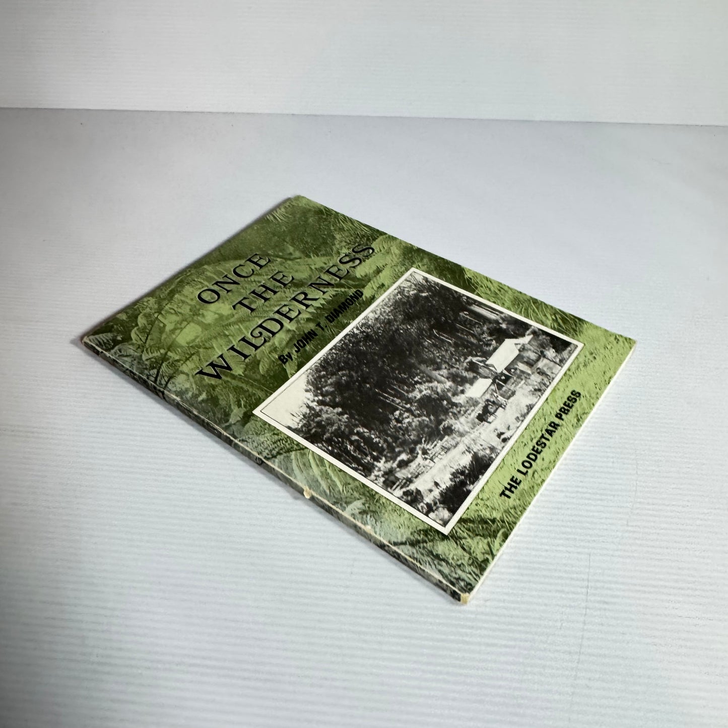 Once The Wilderness - John T. Diamond (Vintage 1977)
