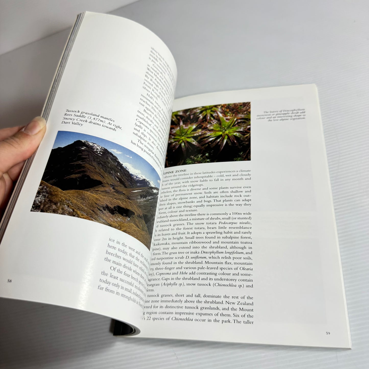 Land Aspiring: The Story Of Mount Aspiring National Park - Neville Peat